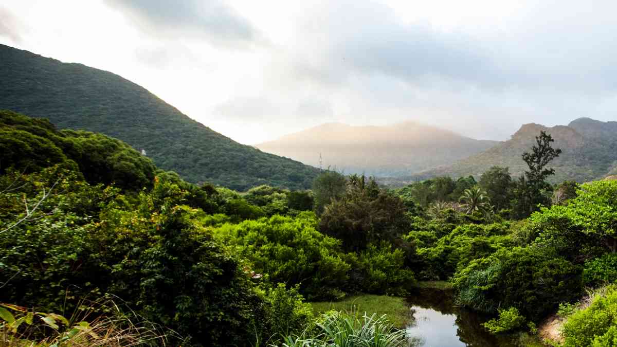 Vietnam Internship Program: Côn Đảo